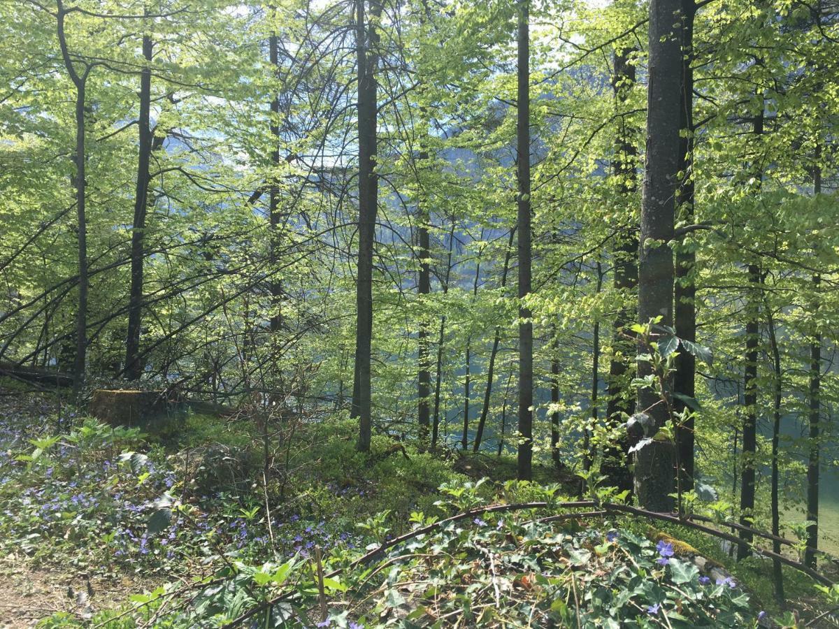 Appartements Im Forsthaus Strobl Zewnętrze zdjęcie